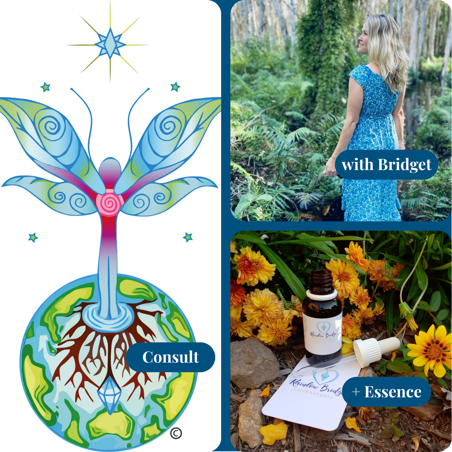 Supportive Bridging Journey 1:1 Sessions