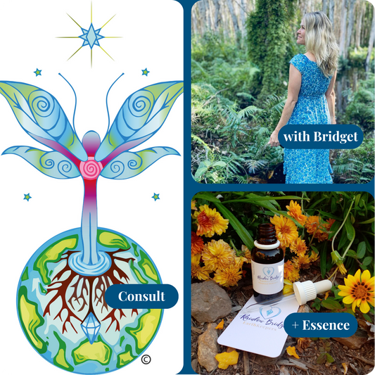 Supportive Bridging Journey 1:1 Sessions
