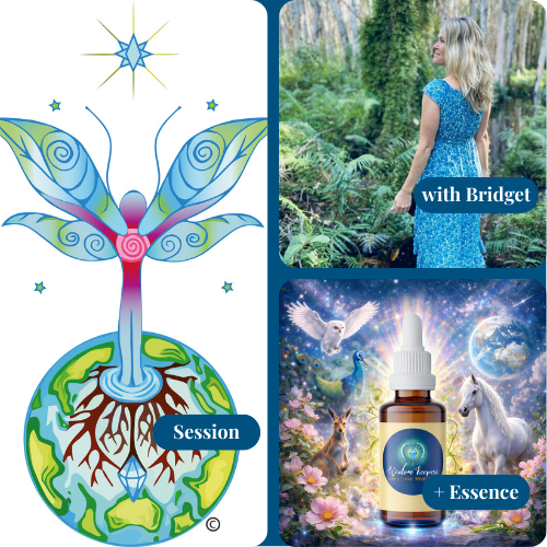 Supportive Bridging Journey 1:1 Sessions